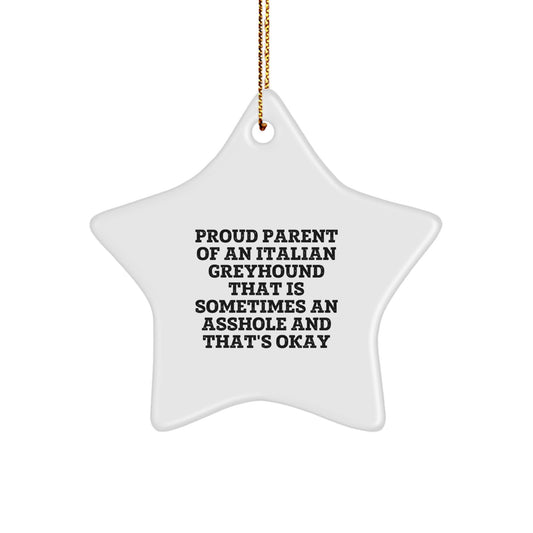 Funny Italian Greyhound Dog Gifts for Italian Greyhound Dog Lover, Christmas Unique Star Ornament Gifts from Friends, Funny Star Ornament for Italian Greyhound Dog Parents - Image 1