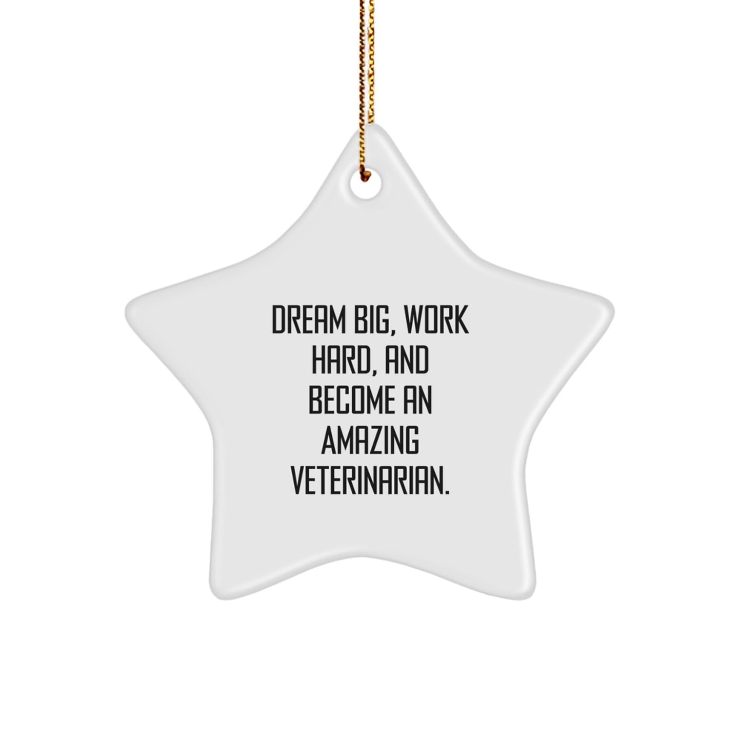 Funny Veterinarian Star Ornament Gifts for Him Her Men Women Friends Family from Husband Partner - Image 1