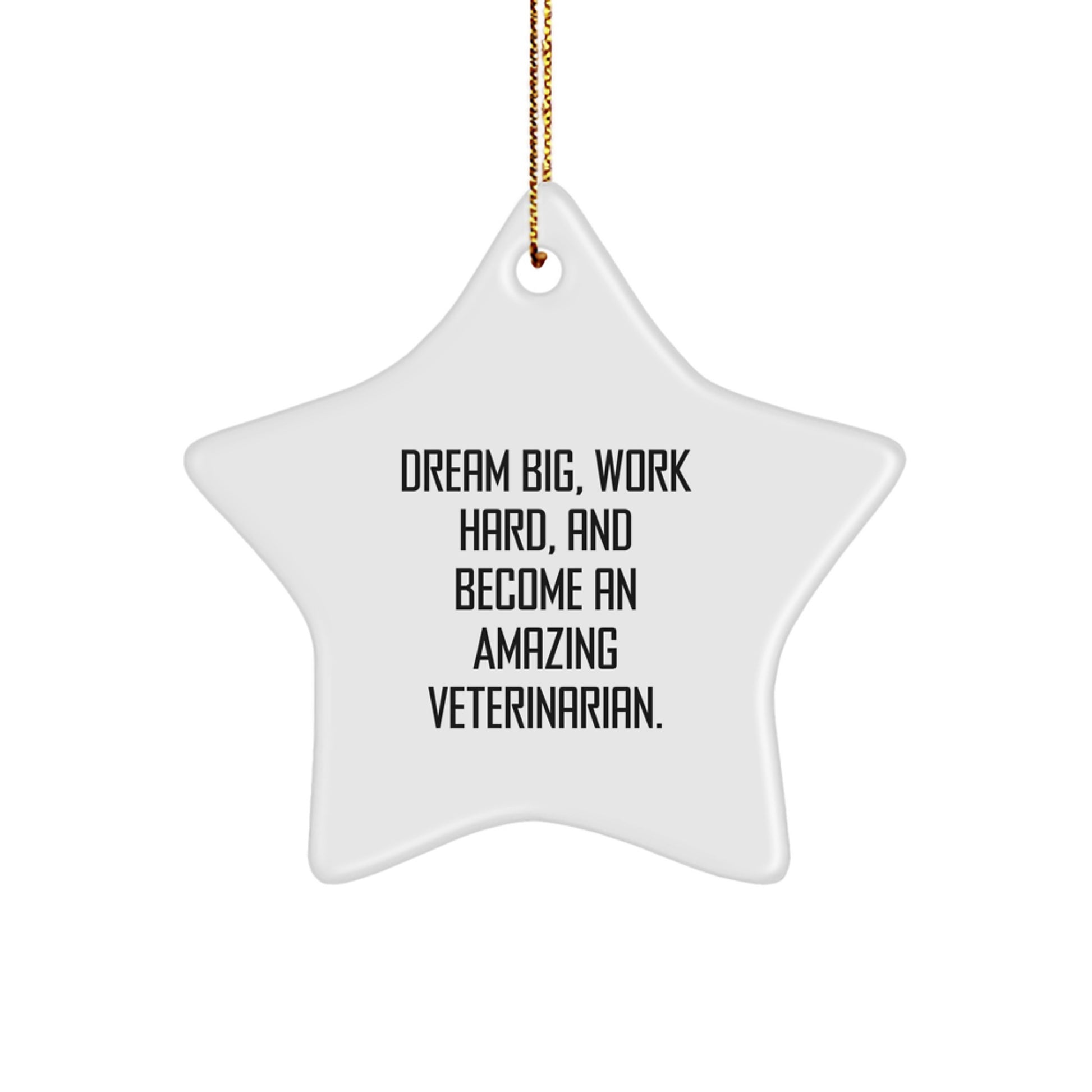Funny Veterinarian Star Ornament Gifts for Him Her Men Women Friends Family from Husband Partner - Image 1