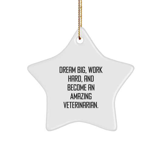 Funny Veterinarian Star Ornament Gifts for Him Her Men Women Friends Family from Husband Partner - Image 1