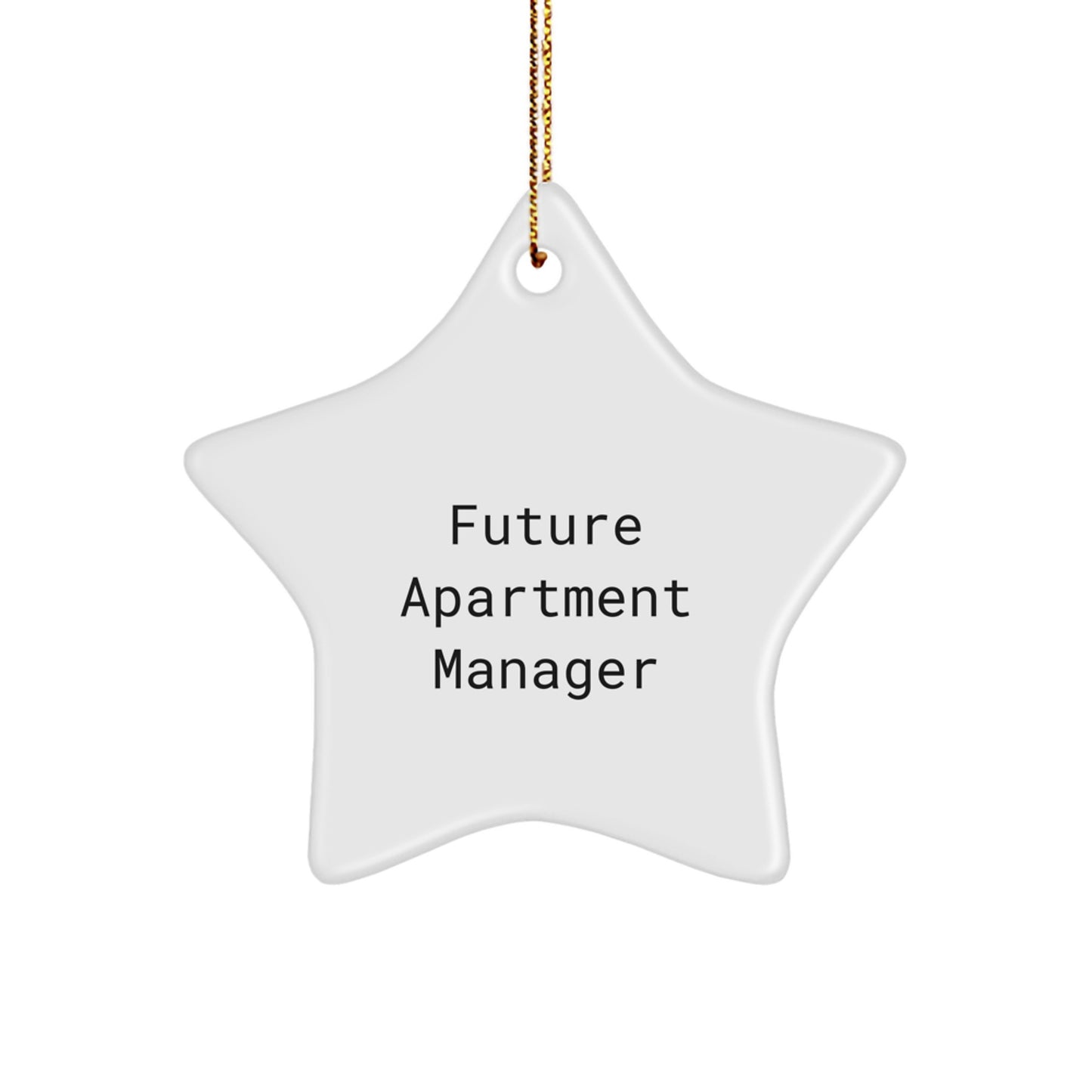 Funny Christmas Unique Gifts from Friends to Future Apartment Manager Star Ornaments, Inspirational Apartment Manager Gifts for Men, Durable White Star Shaped Star Ornaments - Image 1