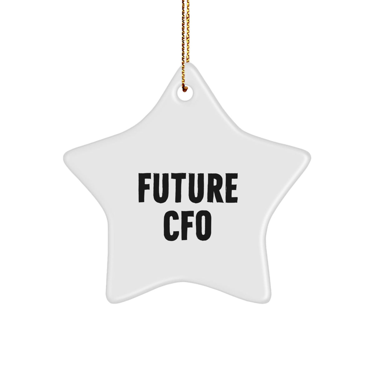 Funny Future CFO Gifts from Friends for Men CFO Star Ornament Christmas Unique Decorations - Image 1