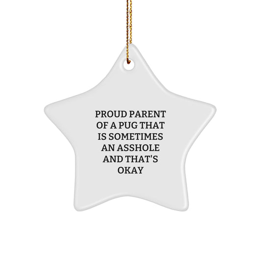 Funny Pug Dog Star Ornament Gifts from Men to Family for Christmas Unique Presents - Image 1