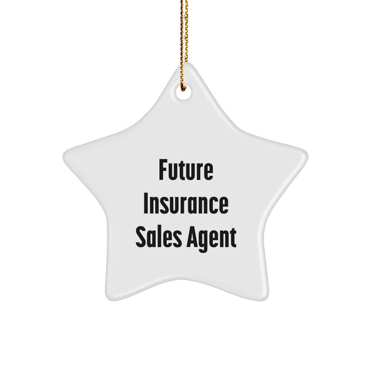 Funny Quote Gifts from Family for Insurance Sales Agent - White Star Ornament, Christmas Unique Gifts for Men, Women, Coworkers, Friends, Family - Image 1