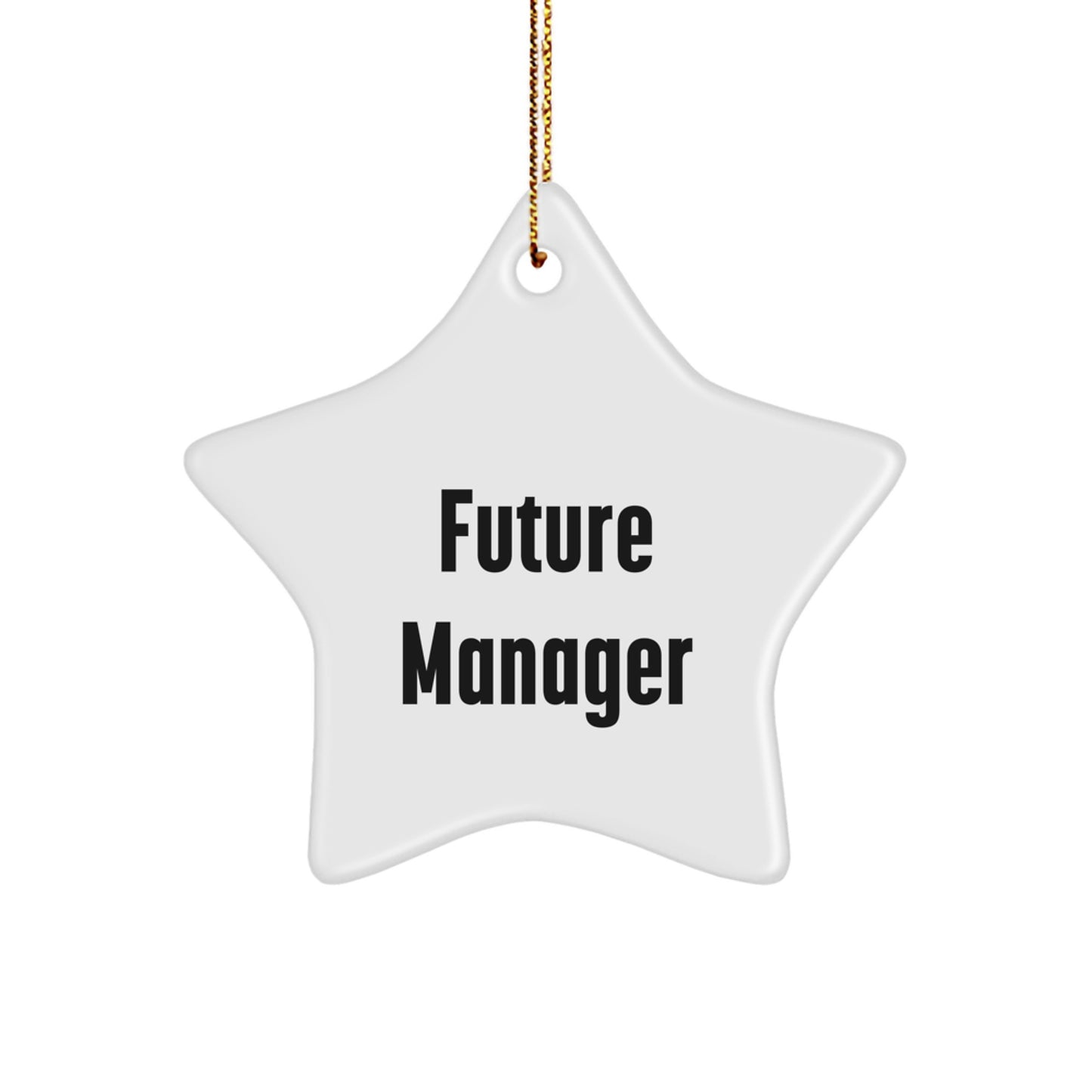 Funny Manager Star Ornament, 'Future Manager' Quote Gifts for Men from Friends or Coworkers, Christmas Unique Presents - Image 1