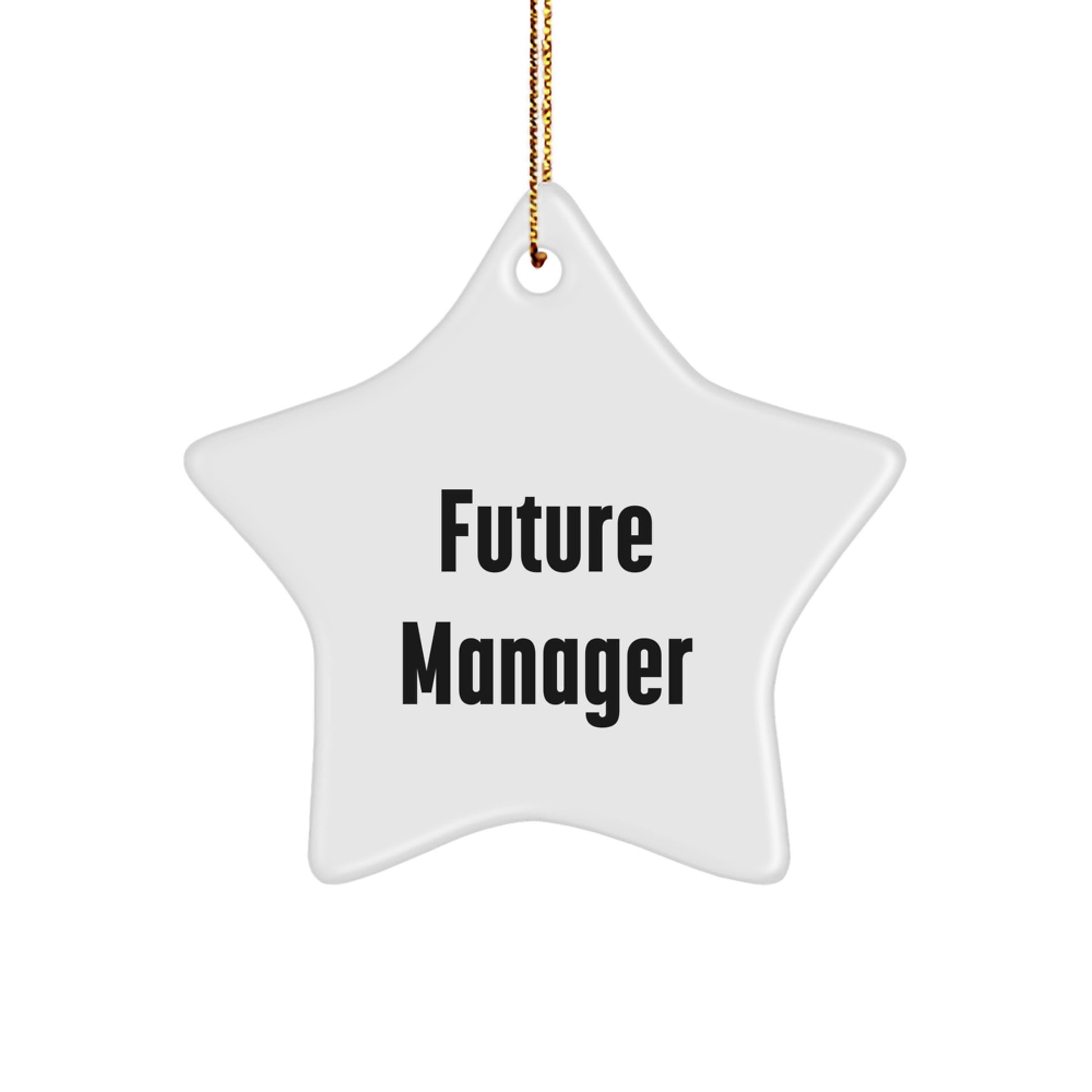 Funny Manager Star Ornament, 'Future Manager' Quote Gifts for Men from Friends or Coworkers, Christmas Unique Presents - Image 1