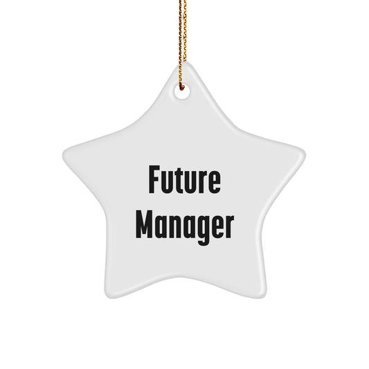 Funny Manager Star Ornament, 'Future Manager' Quote Gifts for Men from Friends or Coworkers, Christmas Unique Presents - Image 1