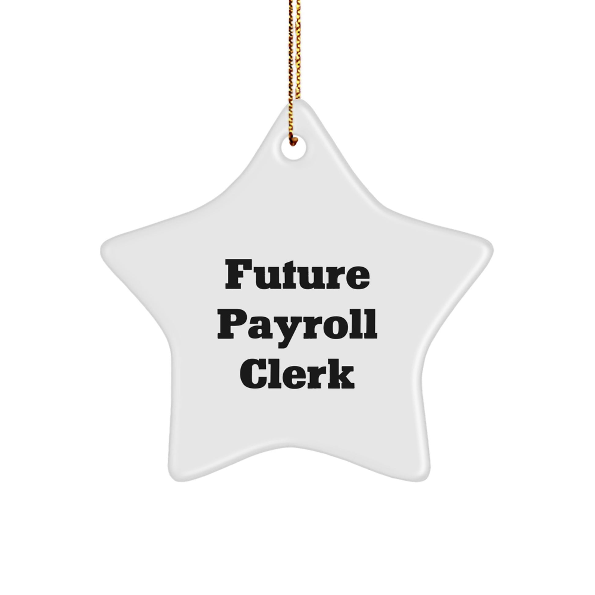 Funny Payroll Clerk Quotes, Gifts for Future Payroll Clerk, Star Ornament, Gifts from Friends, Christmas Unique Present for Payroll Clerk - Image 1