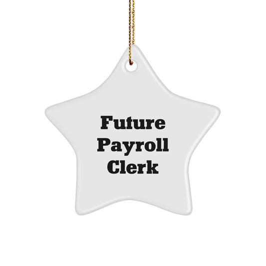 Funny Payroll Clerk Quotes, Gifts for Future Payroll Clerk, Star Ornament, Gifts from Friends, Christmas Unique Present for Payroll Clerk - Image 1