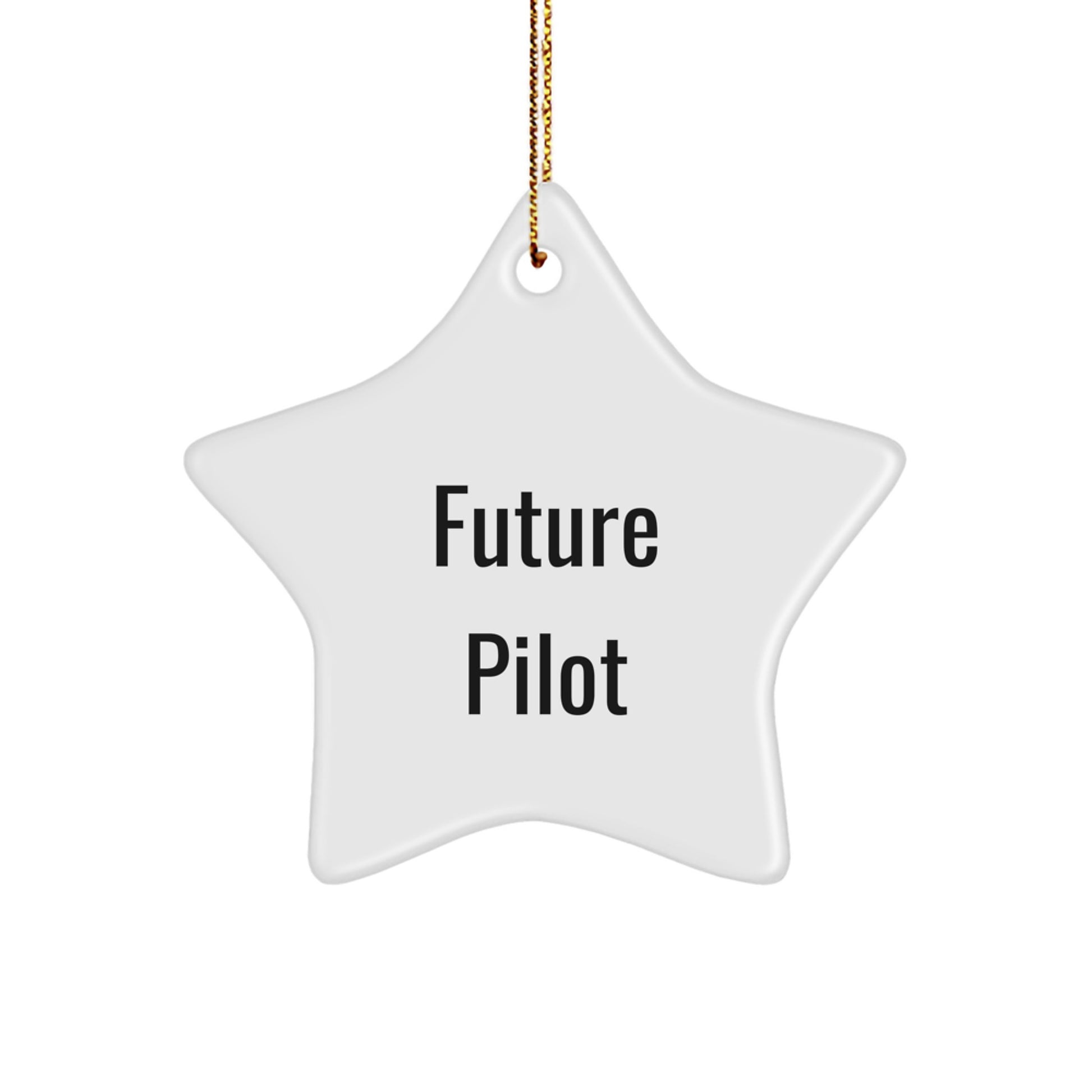 Funny Future Pilot Star Ornament Gifts for Pilot Friends and Family, Pilot Christmas Unique Gifts from Men, Women, Coworkers, Friends - Image 1