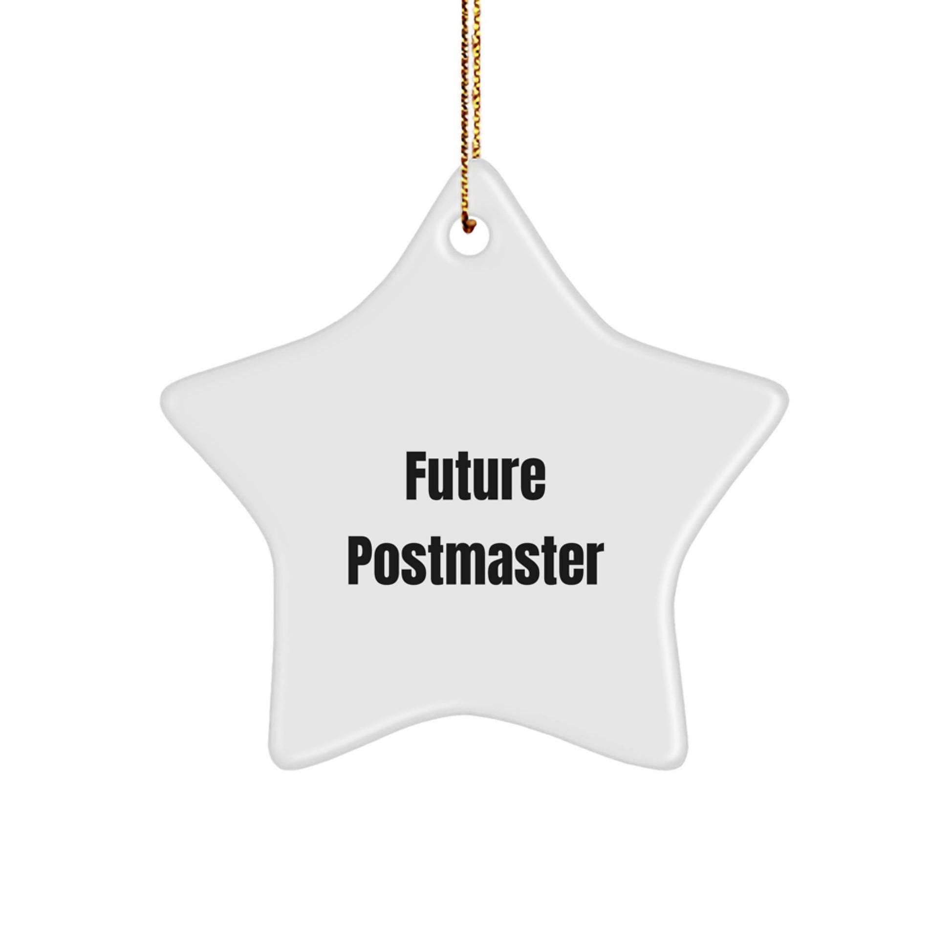 Funny Quote Gifts from Men to Future Postmaster - Star Ornament for Christmas Unique Gifts - Image 1
