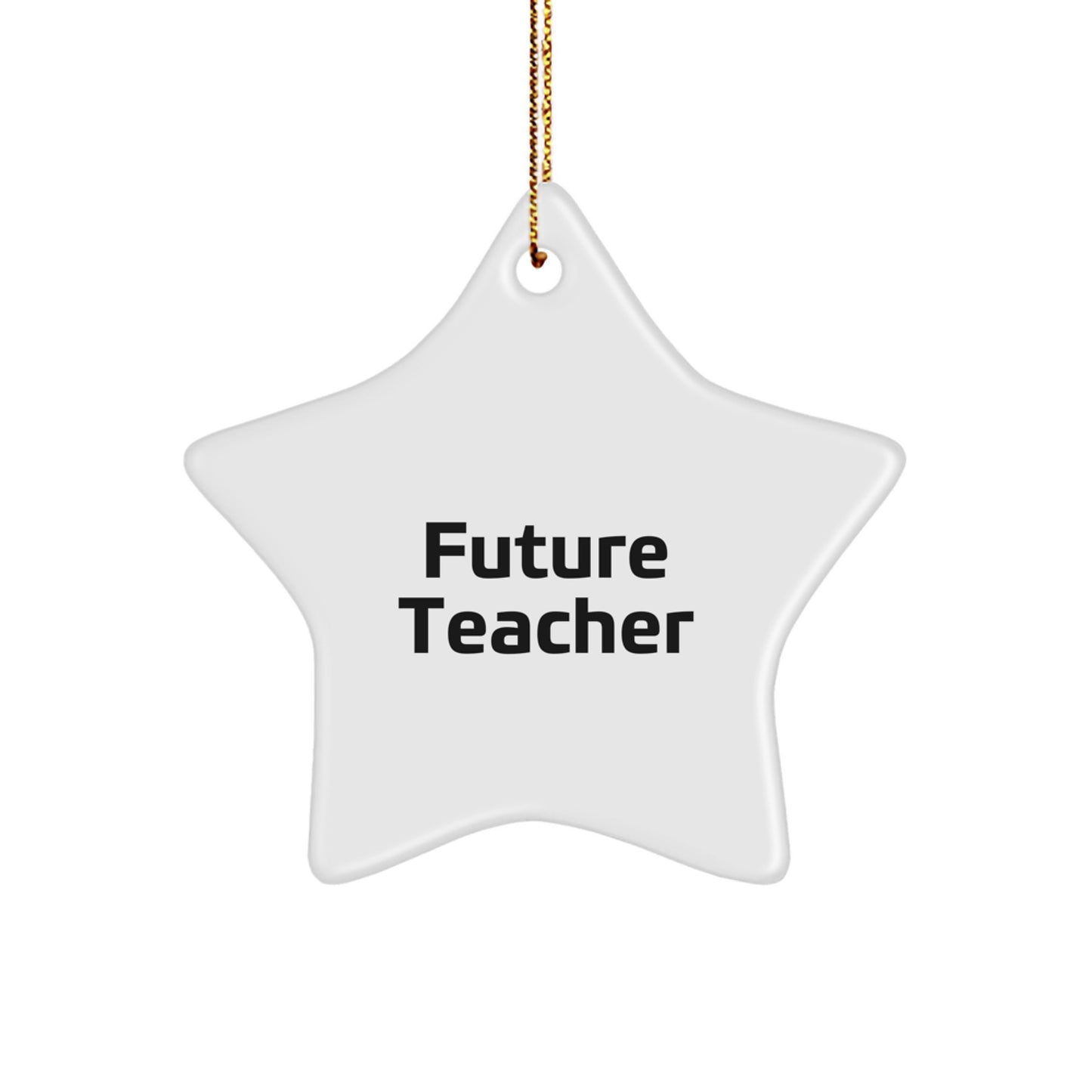 Funny Future Teacher Gifts, Star Ornament, Teacher Appreciation, Christmas Unique Gifts from Friends, Teacher Star Ornament, 'Future Teacher' Quote - Image 1