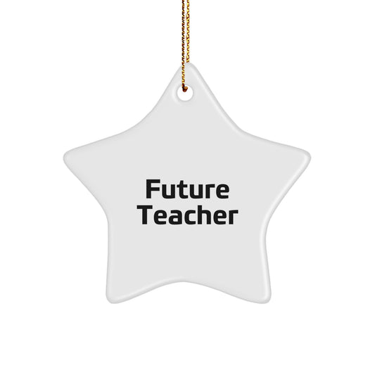 Funny Future Teacher Gifts, Star Ornament, Teacher Appreciation, Christmas Unique Gifts from Friends, Teacher Star Ornament, 'Future Teacher' Quote - Image 1