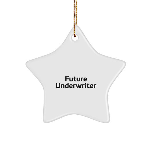 Underwriter Gifts: Funny Future Star Ornament, Gifts from Women, Gifts for Underwriters, Unique Christmas Unique Gifts - Image 1