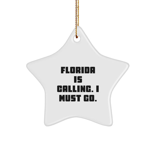 Florida Star Ornament Gifts for Men from Family, Inspirational Christmas Unique Gifts for Florida Residents - Image 1