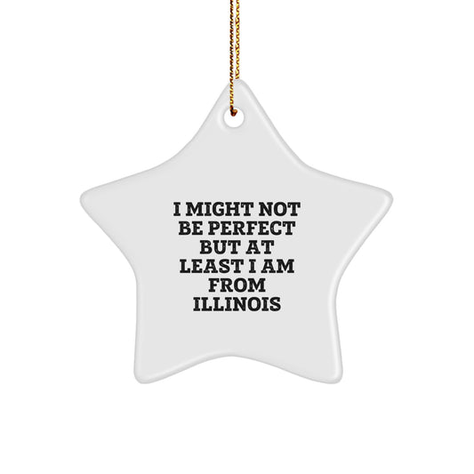 Funny Illinois Star Ornament Gifts from Friends for Illinois Family Members - Image 1