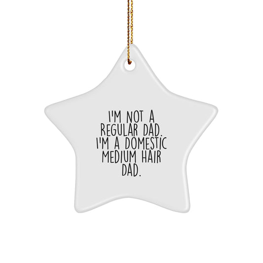 Funny Domestic Medium Hair Cat Star Ornament Gifts for Dad from Men this Christmas Unique - Image 1