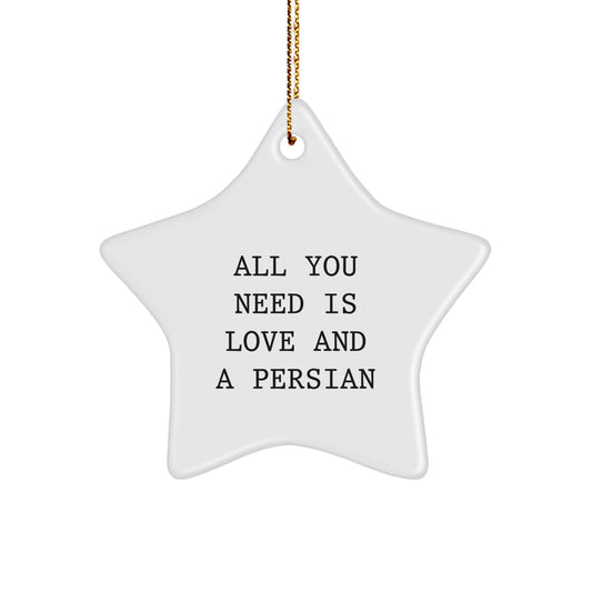 Funny Persian Cat Lover Star Ornament Gifts from Men to Women Friends Family for Christmas - Image 1