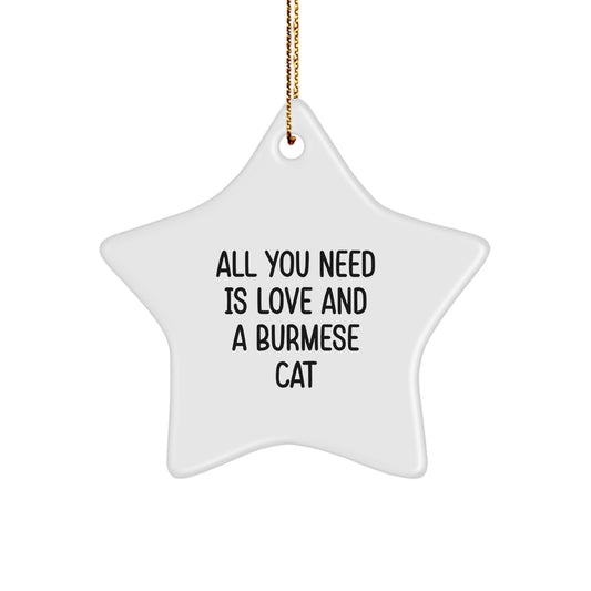 Gifts from Men to Friends for Burmese Cat Lovers - Christmas Unique Star Ornament, Funny Quote: All You Need Is Love And A Burmese Cat - Image 1