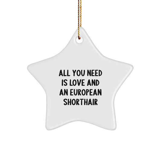 European Shorthair Cat Gifts from Friends - Star Ornament with Quote - 'All You Need Is Love And An European Shorthair' - Unique Christmas Unique Gifts for European Shorthair Cat Lovers - Image 1