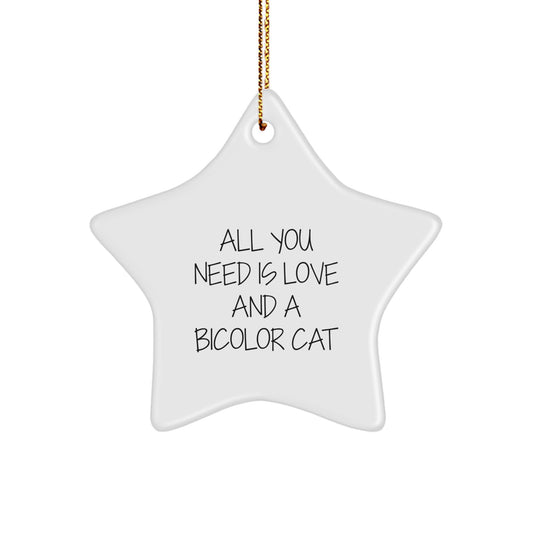 Bicolor Cat Gifts from Friends for Christmas Star Ornament Quote 'All You Need Is Love And A Bicolor Cat' - Unique Home Decor - Image 1