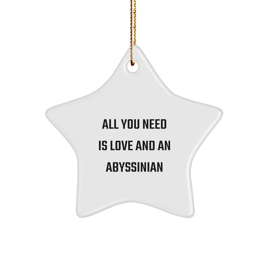 Abyssinian Cat Lovers Gifts from Friends to Family - All You Need Is Love And An Abyssinian Star Ornament for Christmas - Image 1