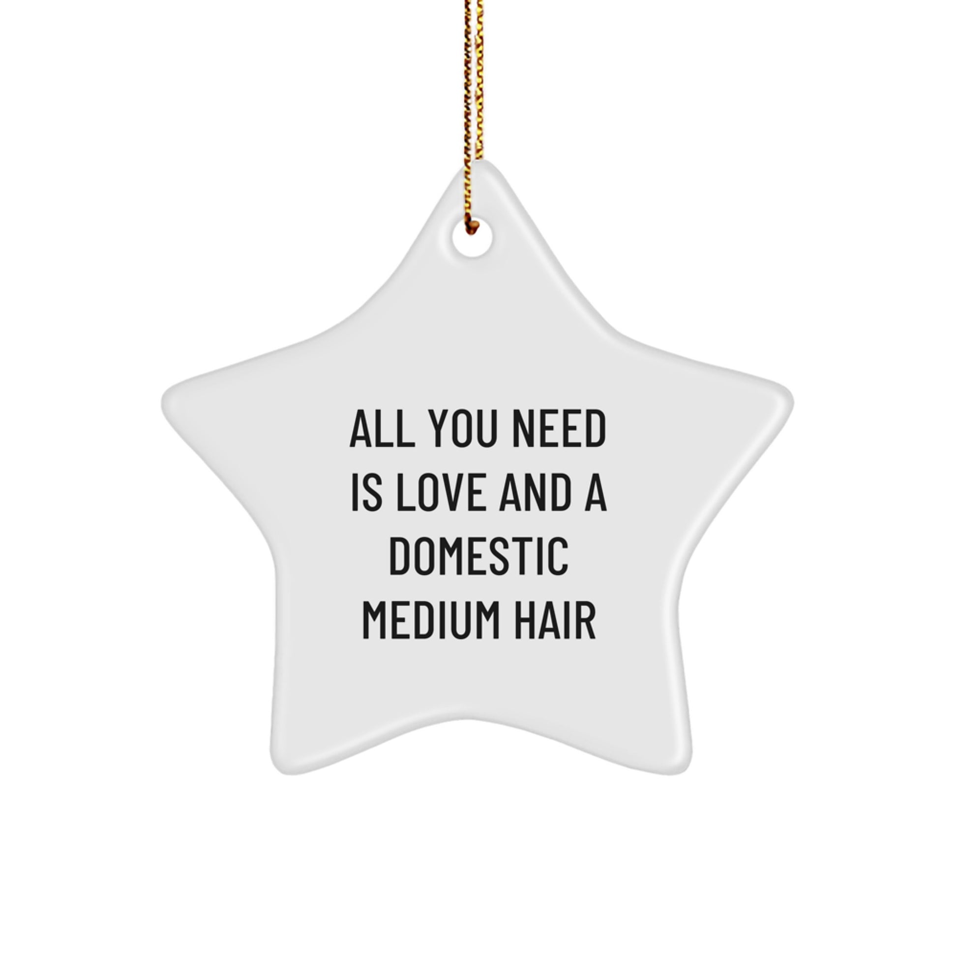 Fun Star Ornament Gifts from Family for Domestic Medium Hair Owners All You Need Is Love - Image 1