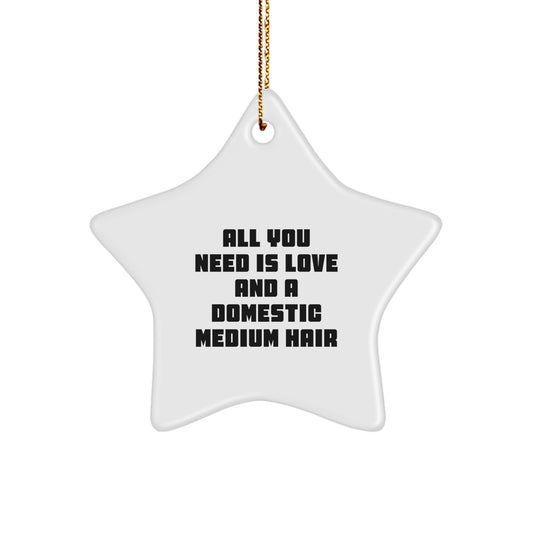 Domestic Medium Hair Gifts from Friends and Family - Star Ornament for Christmas Morning - 'All You Need Is Love And A Domestic Medium Hair' - Image 1