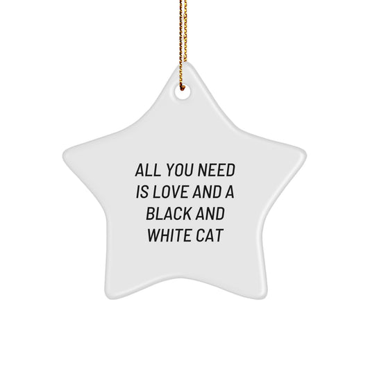 Funny Black and White Cat Christmas Unique Gifts for Men or Women - All You Need Is Love and a Star Ornament for Home Decor, Funny Cat Lover Gifts, Black and White Cat Star Ornament - Image 1
