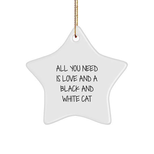 Black and White Cat Star Ornament, Funny Quote Gift for Cat Lovers, Christmas Unique Decorations, Gifts from Friends - Image 1