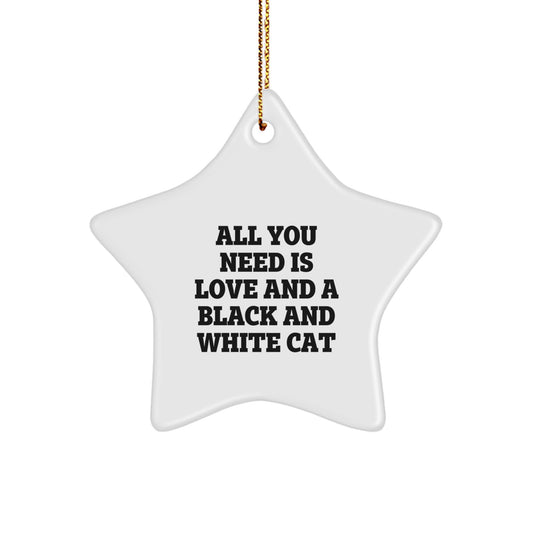 Black and White Cat Gifts from Family, Funny Star Ornament Christmas Unique, All You Need Is Love And A Black And White Cat - Image 1