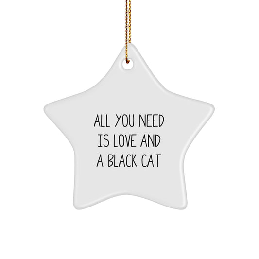 Unique Black Cat Star Ornament Gifts from Friends and Family for Christmas - Image 1