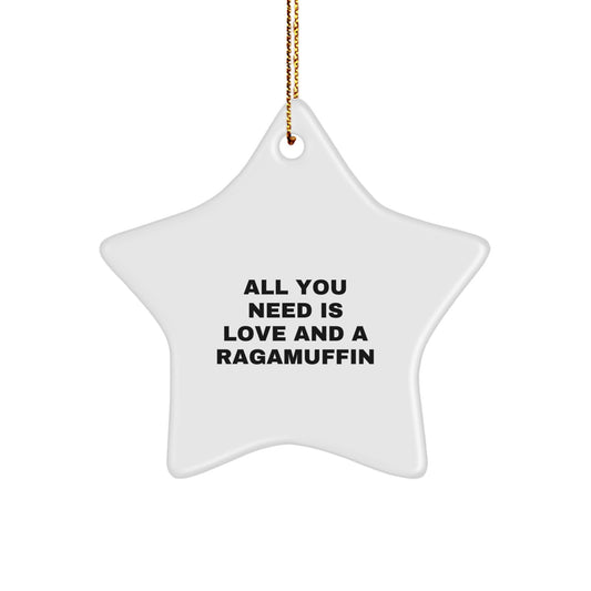 Ragamuffin Cat Lover Gifts from Men - 'All You Need Is Love And A Ragamuffin' Star Ornament for Christmas Unique Gifts for Women, Friends, Family - Image 1