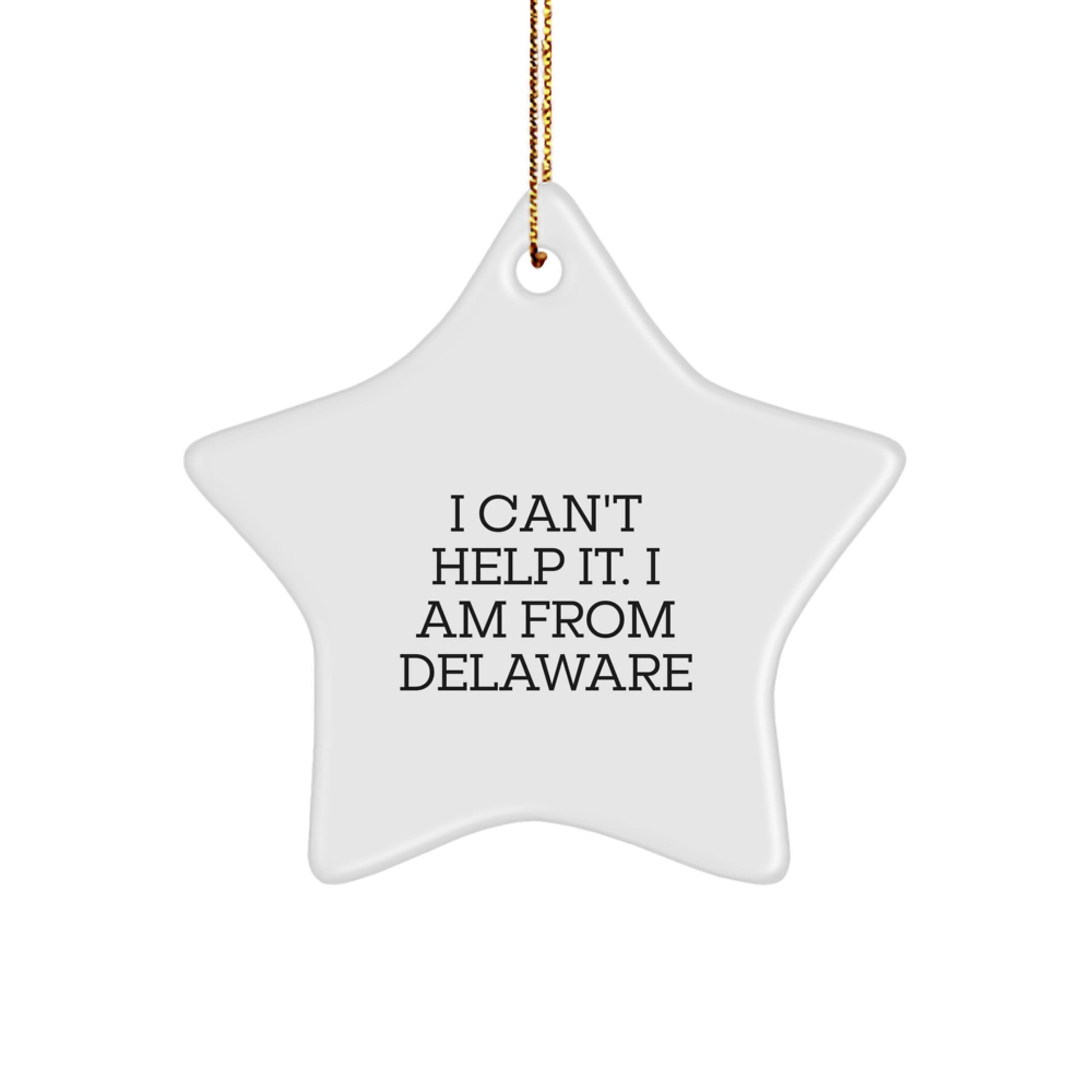 Funny Quotes from the First State Delaware Star Ornament Gifts for Delaware Men Women Friends Christmas Unique - Image 1