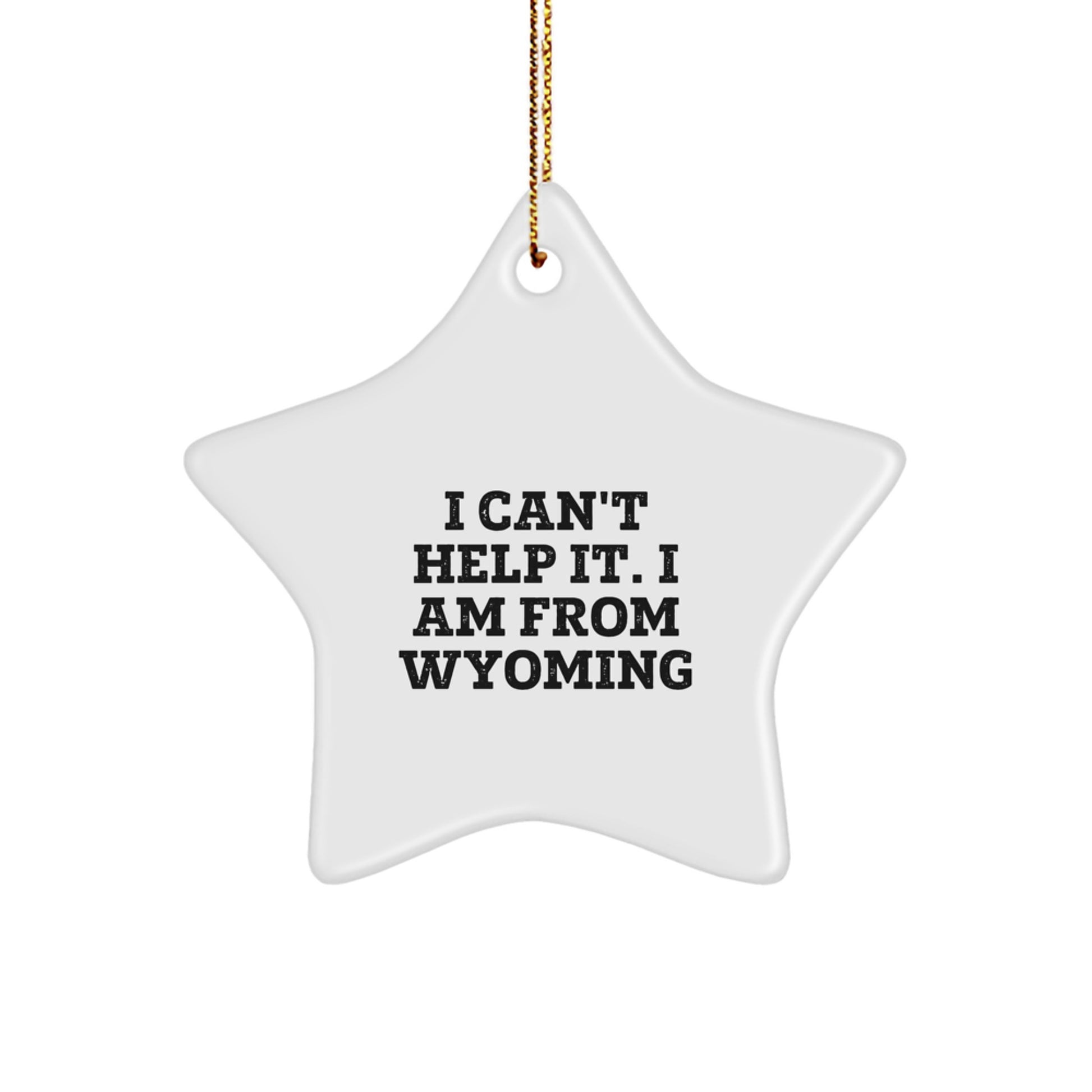 Wyoming Star Ornament Funny Gifts for Men from Wyoming, Star Ornament Decor for Christmas Unique Gifts - Image 1