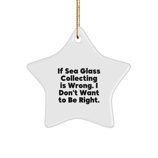 Sea Glass Collecting Delights, Funny Quote Gifts for Friends, Family, and Coworkers, Christmas Unique Treasures - Image 1