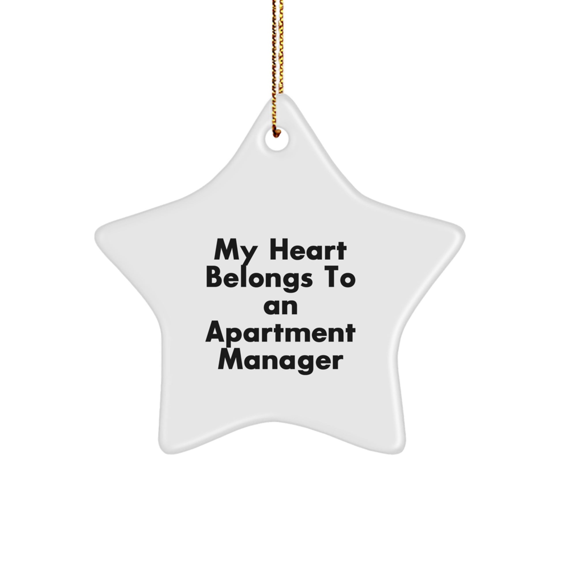 Funny Quote Star Ornaments Gifts from Family to Apartment Manager Friends Women Christmas Unique Gifts - Image 1